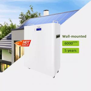 Wall Mounted Battery